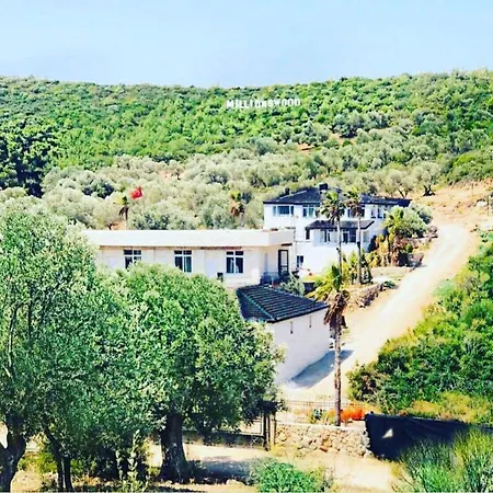 Millionswood Σπίτι διακοπών